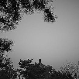 SIE新游《Concord》被曝又是一个ZZZQ游戏